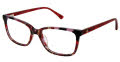 Ann Taylor AT346 Burgundy Tortoise Multi (C03) Eyeglasses - Color Image