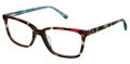 Ann Taylor AT346 Tortoise Multi (C02) Eyeglasses - Color Image