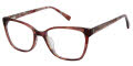 Ann Taylor ATP828 Rose Tortoise (C03) Eyeglasses - Color Image