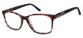 Ann Taylor AT008 Fuchsia / Tortoise / Black (CO3) Eyeglasses - Color Image