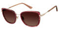 Ann Taylor ATP922 Rose Horn (C03) Sunglasses - Color Image