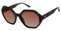 Ann Taylor ATP923 Black Tortoise (C01) Sunglasses - Color Image