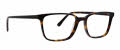 Argyleculture Clay Tortoise Eyeglasses - Color Image