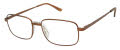 Aristar AR 30716 Brown Eyeglasses - Color Image