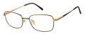 Aristar AR 30816 Brown Eyeglasses - Color Image