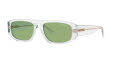 Arnette AN4292 - Gullwing Crystal / Green Lens (1215/2) Sunglasses - Color Image