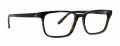 Badgley Mischka York Brown Horn Eyeglasses - Color Image