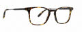 Badgley Mischka Owen Tortoise Eyeglasses - Color Image