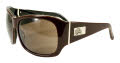Black Flys Fly End Shiny Brown / Gold Brown Lens Sunglasses - Color Image