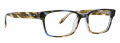 Badgley Mischka Jacob Blue/Brown Eyeglasses - Color Image