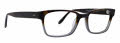Badgley Mischka Jacob Tortoise/Grey Eyeglasses - Color Image