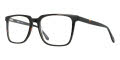 B.M.E.C. Big Mens Big Spike Tortoise Eyeglasses - Color Image
