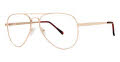 B.M.E.C. Big Mens Big Flight Gold Eyeglasses - Color Image