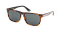 BMW BW0056-H Havana (52N) Sunglasses - Color Image