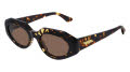 Bottega Veneta BV1031S Havana / Brown Lens (002) Sunglasses - Color Image