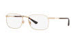 Brooks Brothers BB1072T Shiny Gold (1223T) Eyeglasses - Color Image