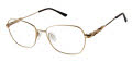 CHARMANT Titanium Perfection CT 29225 Brown Eyeglasses - Color Image