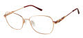 CHARMANT Titanium Perfection CT 29225 Wine Eyeglasses - Color Image