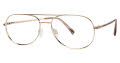 CHARMANT Titanium Perfection CT 8180 Gold (GP) Eyeglasses - Color Image