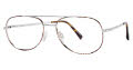 CHARMANT Titanium Perfection CT 8180 Silver (SI) Eyeglasses - Color Image
