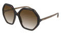 Chloe CH0008S Shiny Dark Havana-Light Brown / Gradient Brown Lens (004) Sunglasses - Color Image