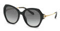 Chopard SCH354V Shiny Black (700) Sunglasses - Color Image