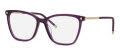 Chopard VCH349M Transparent Violet (096Z) Eyeglasses - Color Image
