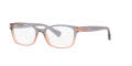 Coach HC6065 Shimmer Violet Peach Gradient (5554) Eyeglasses - Color Image