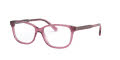Coach HC6143 Transparent Mauve (5569) Eyeglasses - Color Image