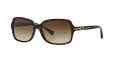 Coach HC8116 Dark Tortoise / Brown Gradient Lens (500113) Sunglasses - Color Image