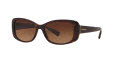 Coach HC8168 Dark Tortoise / Brown Gradient Lens (512013) Sunglasses - Color Image