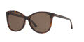 Coach HC8271U Dark Tortoise / Dark Brown Lens (512073) Sunglasses - Color Image