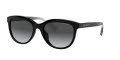 Coach HC8285U Black / Dark Gray Gradient Polarized Lens (5002T3) Sunglasses - Color Image