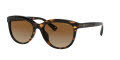 Coach HC8285U Dark Tortoise / Brown Gradient Polarized Lens (5120T5) Sunglasses - Color Image
