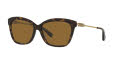 Coach HC8305 Dark Tortoise / Brown Polarized Lens (512083) Sunglasses - Color Image