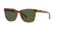 Coach HC8313U Amber Horn / Dark Green Solid Lens (558171) Sunglasses - Color Image
