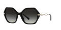Coach HC8315 Black / Grey Gradient Lens (50028G) Sunglasses - Color Image