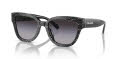 Coach HC8379U Grey Pearl Signature C (55208G) Sunglasses - Color Image
