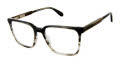 Cremieux Classico Black Horn Eyeglasses - Color Image