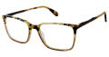 Cremieux Regatta Tort Olive Eyeglasses - Color Image