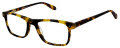 Cremieux BOAT Osaka Tortoise Eyeglasses - Color Image