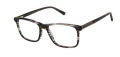 Cruz Cedar Ave Black Eyeglasses - Color Image