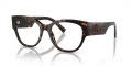 Dolce & Gabbana DG3377 Havana (502) Eyeglasses - Color Image