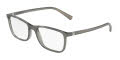 Dolce & Gabbana DG5027 Transparent Grey (3160) Eyeglasses - Color Image