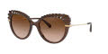 Dolce & Gabbana DG6135 Brown Transparent / Brown Gradient Lens (315913) Sunglasses - Color Image