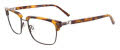 Easytwist ET993 No Clip-On Lens Demi Brown & Dark Grey (010) Eyeglasses - Color Image