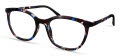 ECO Aronia Blue Tortoise Eyeglasses - Color Image
