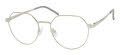 ECO Sage Silver Eyeglasses - Color Image