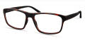 ECO Tyson Tortoise Eyeglasses - Color Image