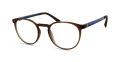 ECO Didessa Brown Eyeglasses - Color Image